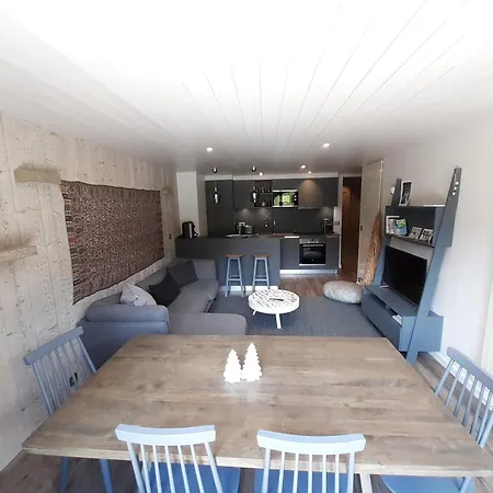 Apartment Skis Aux Pieds, 3 Chambres, Renove, Idealement Situe Pres Des Commerces A 1650 - Fr-1-514-61